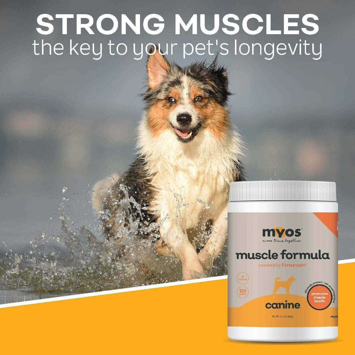 Canine Muscle Formula L6281