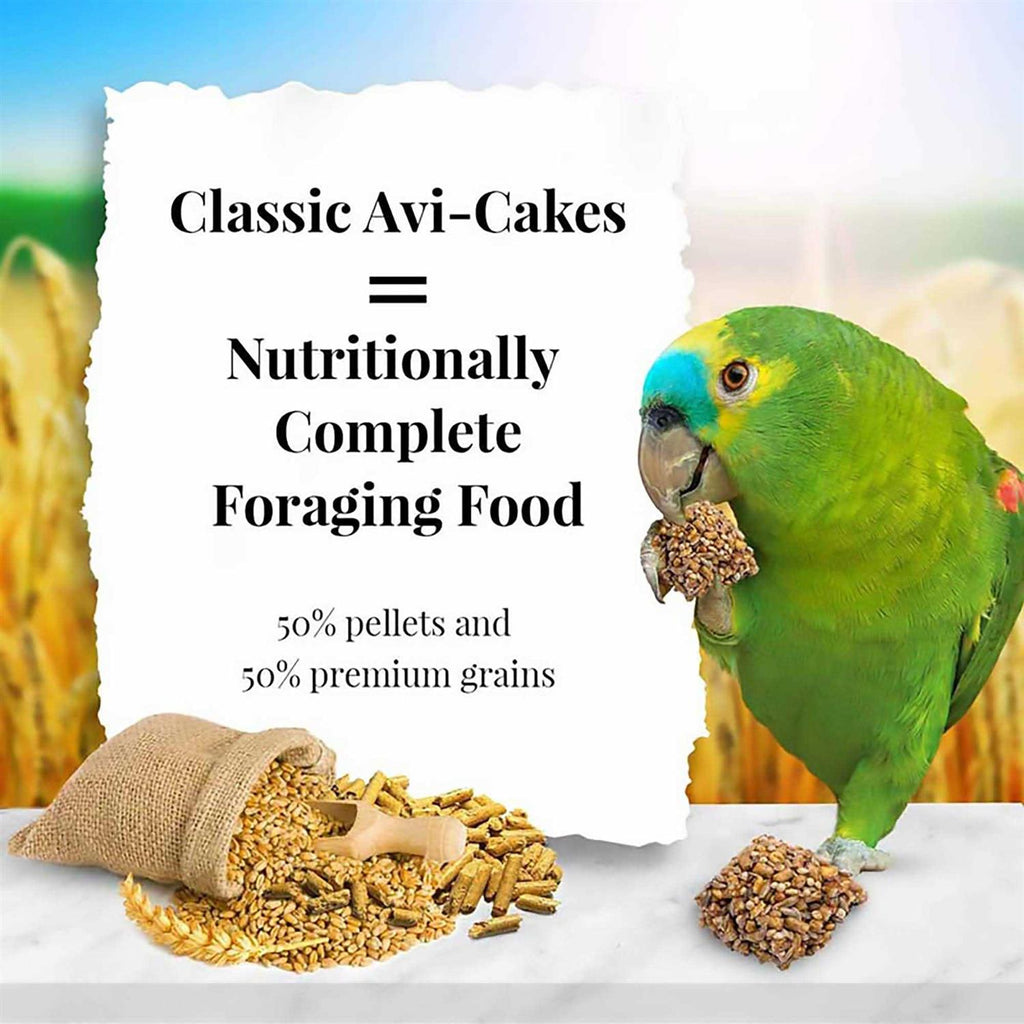 Parrot Food N258