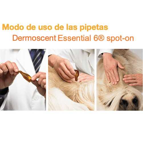 Essential 6 Spot-On Dogs C8471