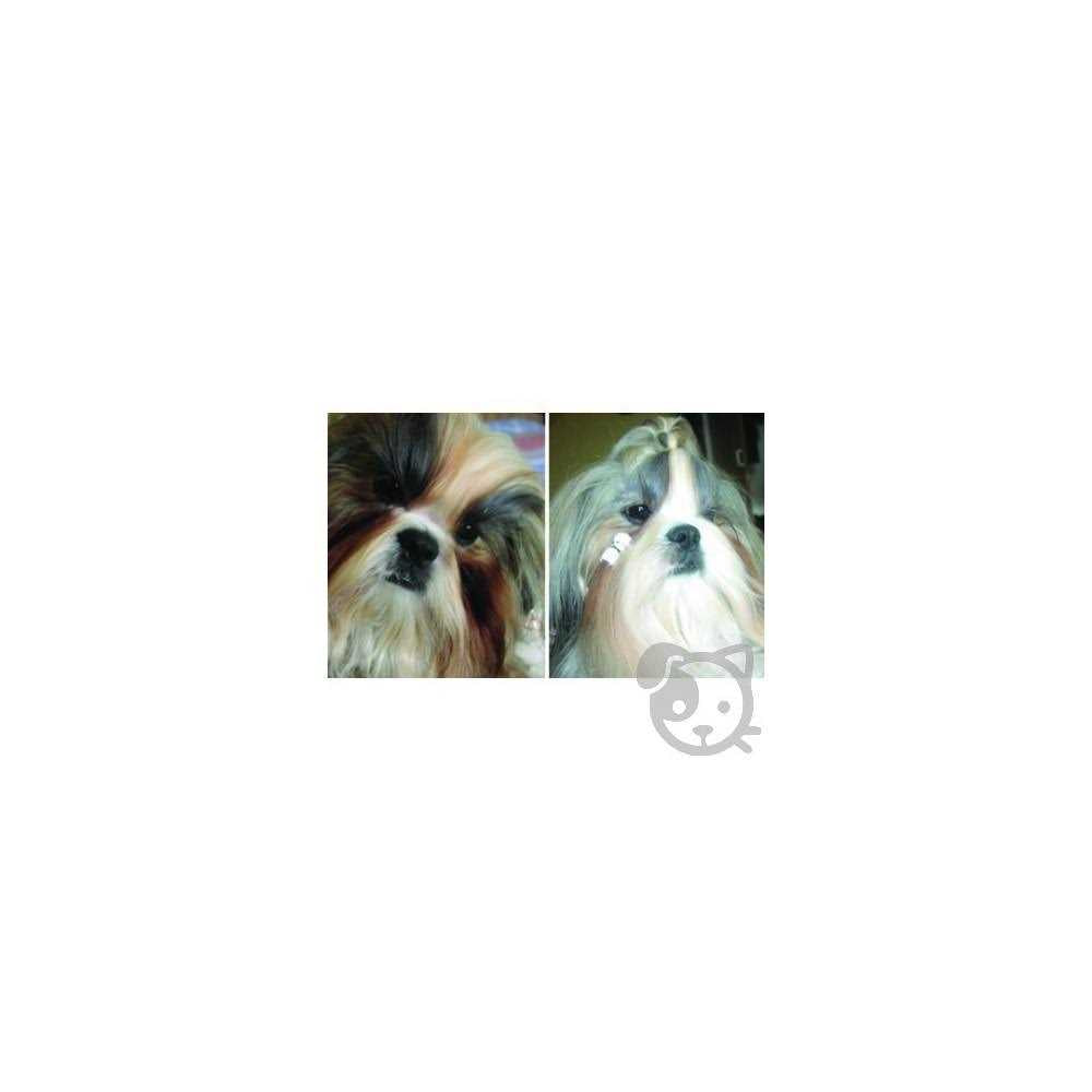 All Natural Beard Stain Remover for Dogs & Cats H952792