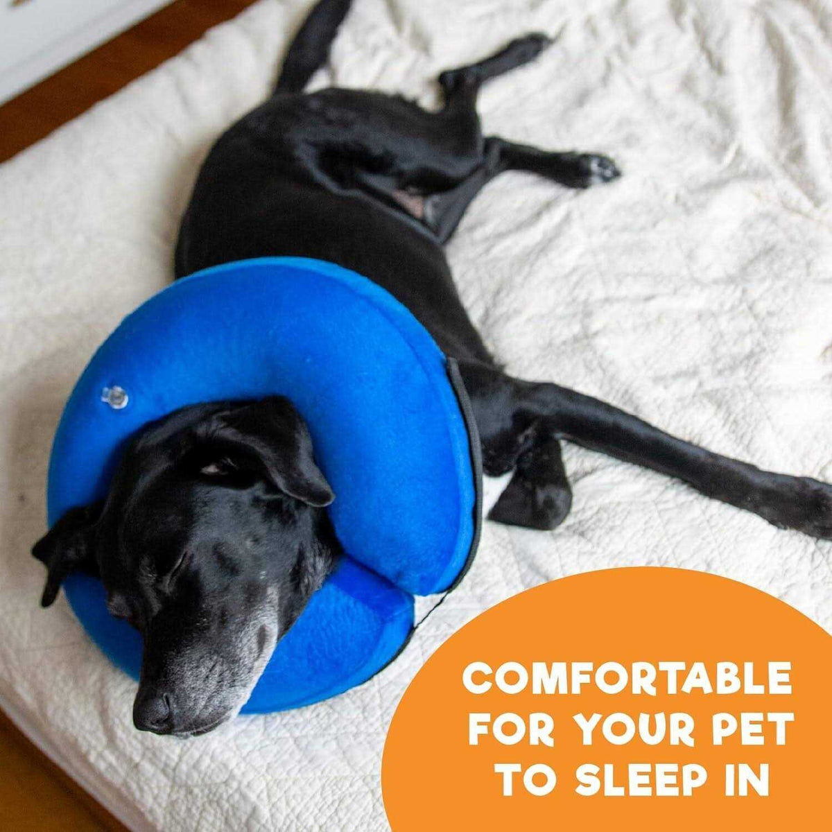 Inflatable Soft Pet Recovery Collar R474941