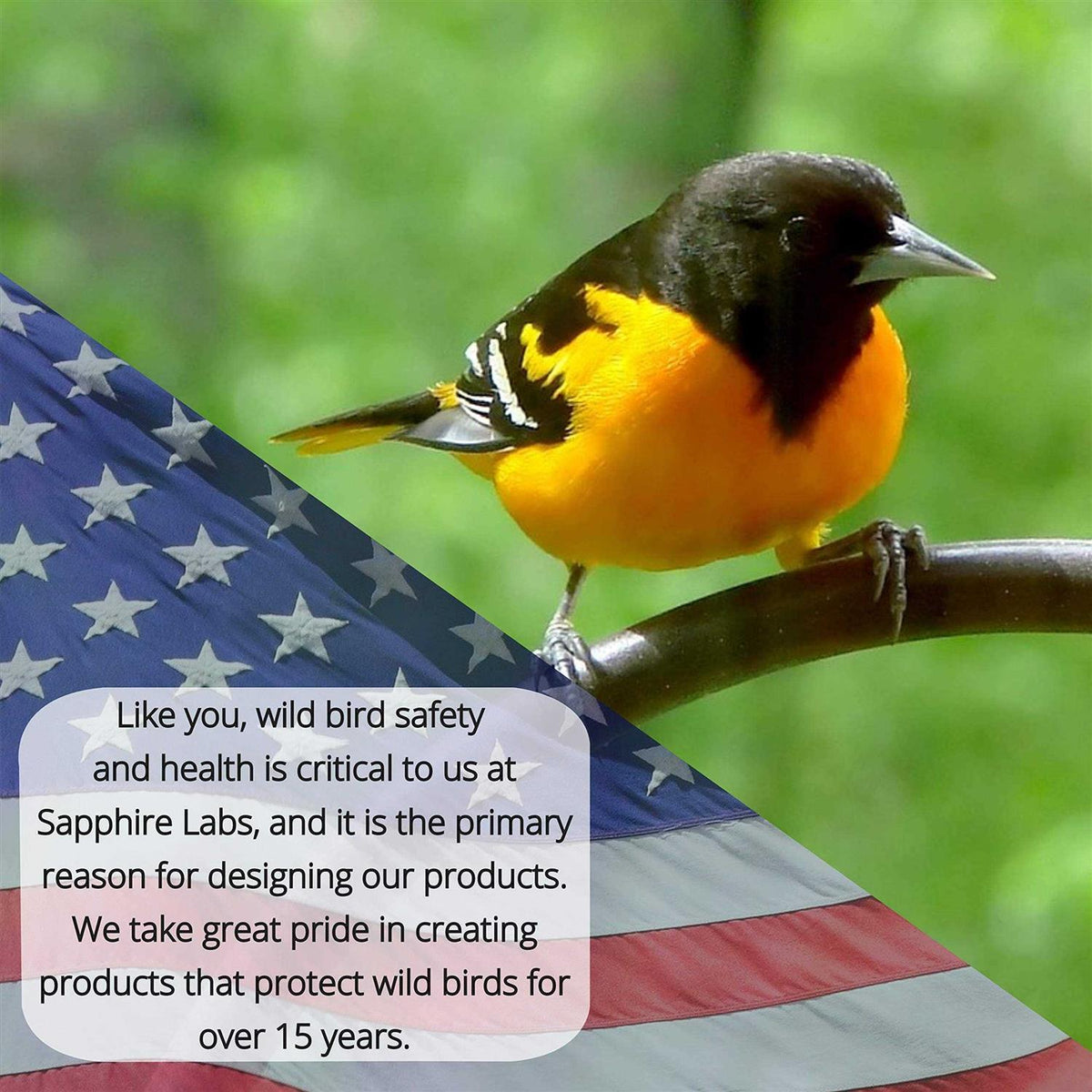Hummingbird Feeder S277