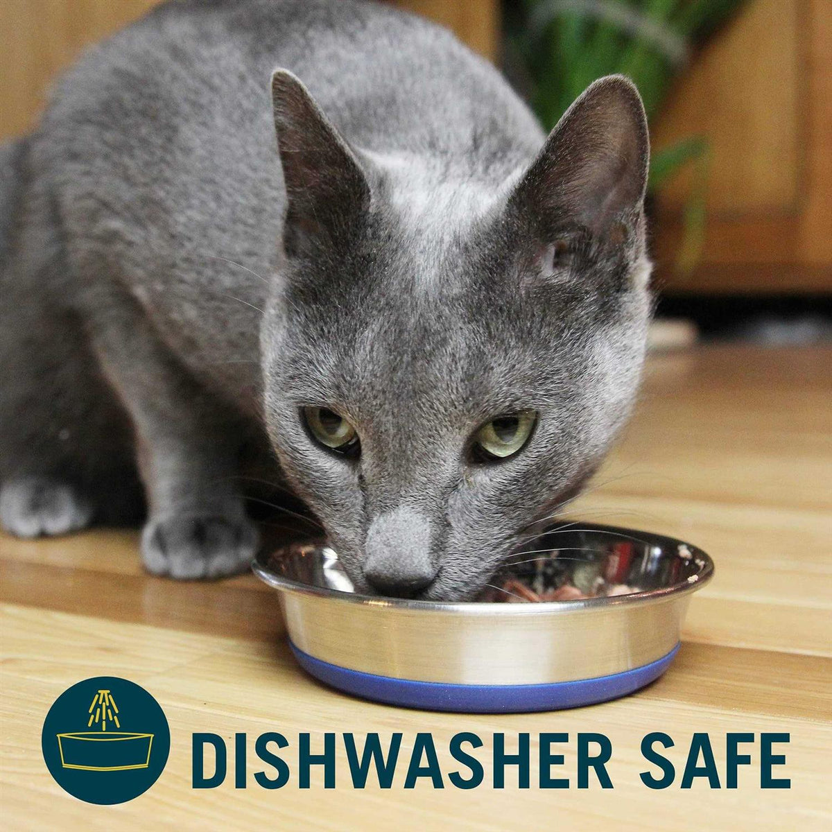 Stainless Steel Cat Dish E20657