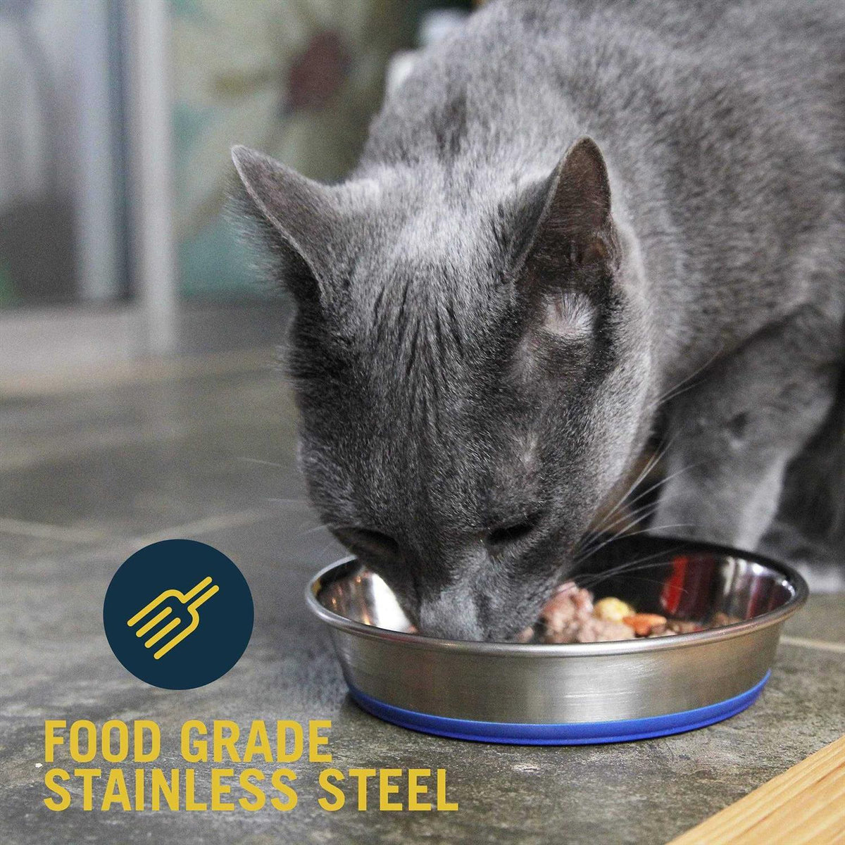 Stainless Steel Cat Dish E20657