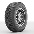 All-Terrain Tire F929