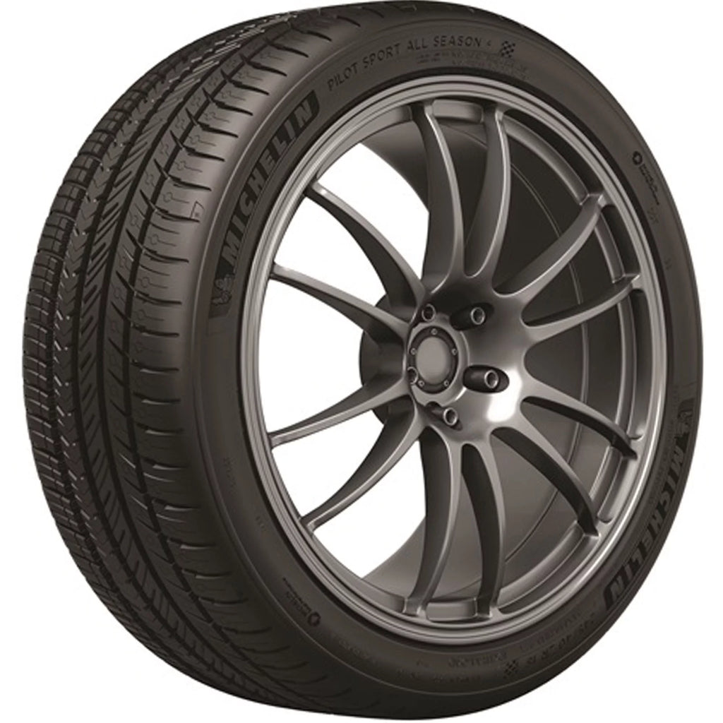 All Season 295/30ZR20 101Y XL Passenger Tire T252862