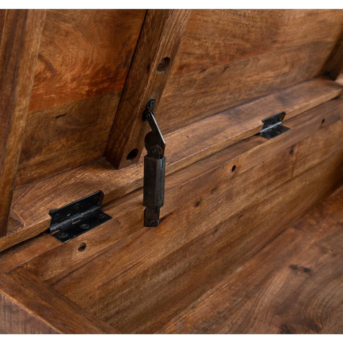 Storage Trunk E48046