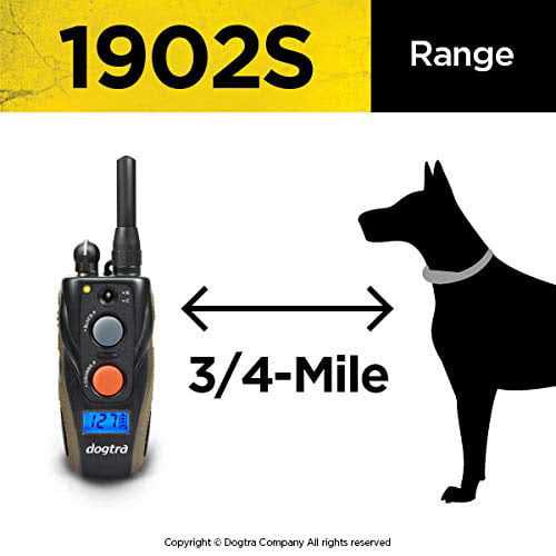 Remote Training Collar M660237