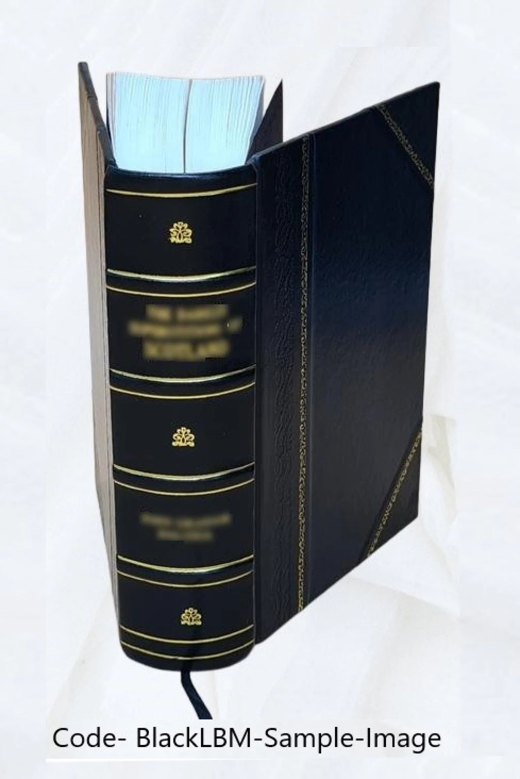 Alcohol Production Chemistry and Industrial Applications Leather Bound W485051
