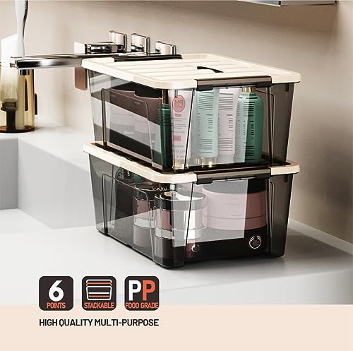 Clear Storage Bins with Lids, 6-Pack I256