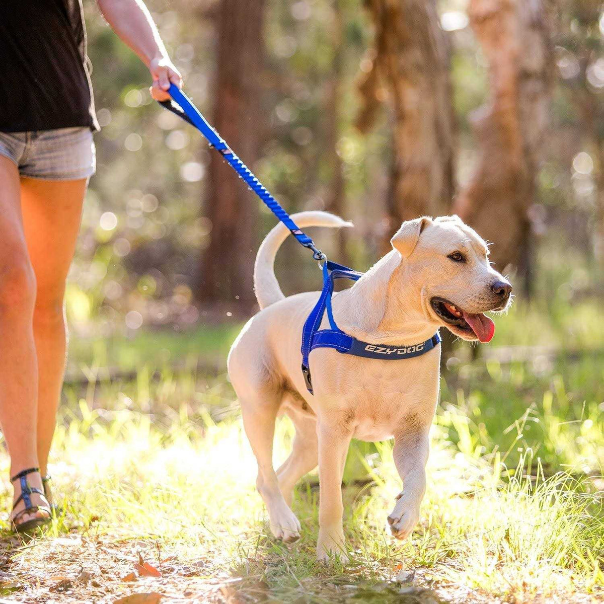 Zero Shock Dog Leash W831