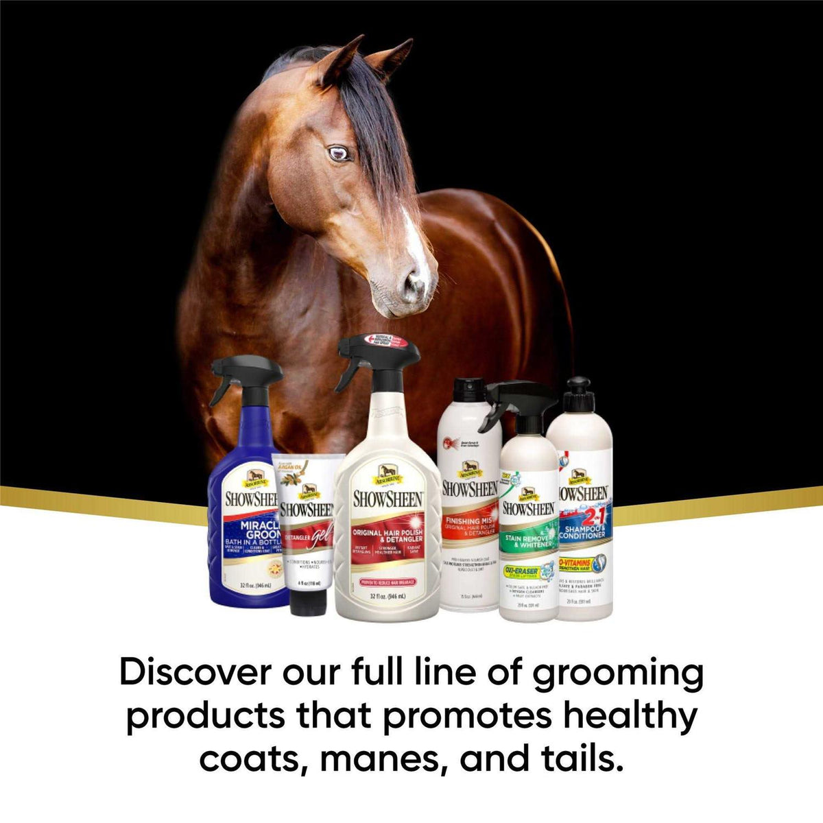 Shine Pet Supplies I655728