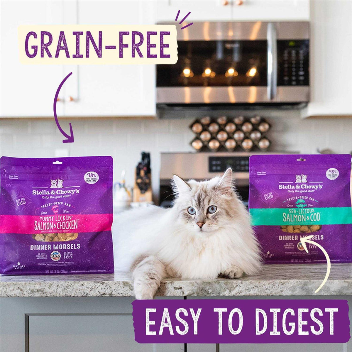 Chicken Freeze-Dried Cat Food B131