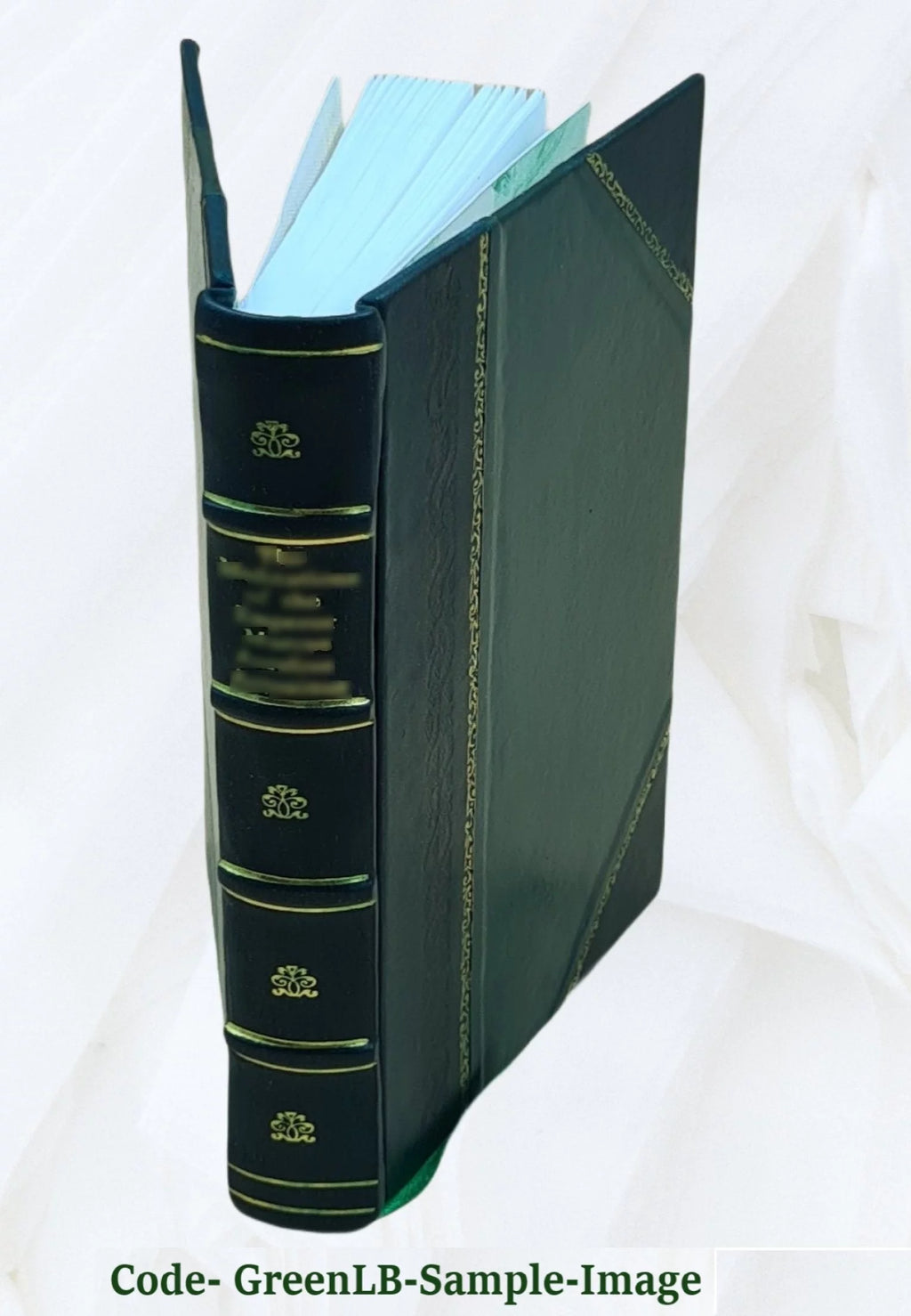 Leather Bound C534